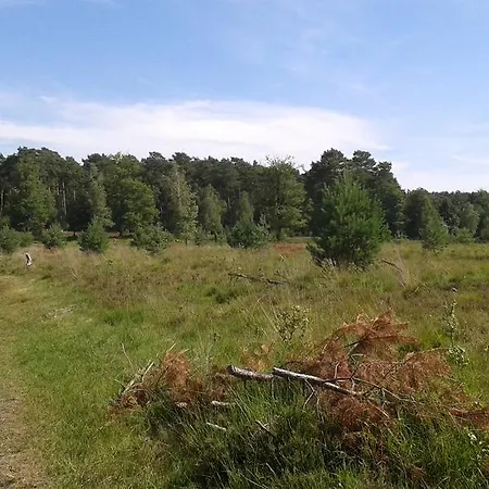 Burgblick Brueggen