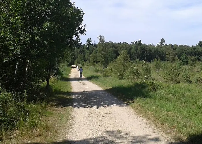 Burgblick בית נופש