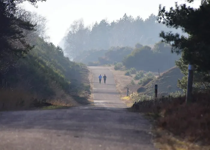 Burgblick ברוגן