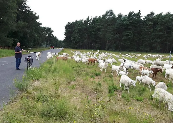 Burgblick Vakantiehuis Bruggen (Viersen)